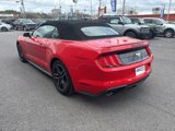 Used 2022 Ford Mustang Premium image 5