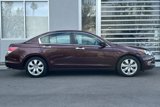 Used 2010 Honda Accord EX-L image 3