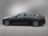 Certified 2022 Cadillac CT5 Premium Luxury image 3