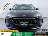 Used 2021 Ford Escape SE w/ Convenience Package image 3
