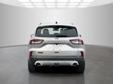 Used 2020 Ford Escape Titanium image 6