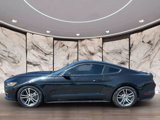 Used 2017 Ford Mustang Premium image 2