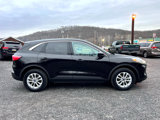 Used 2020 Ford Escape SE image 6