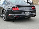 Used 2017 Ford Mustang Coupe image 4