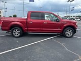 Used 2015 Ford F150 XLT w/ Equipment Group 302A Luxury image 2