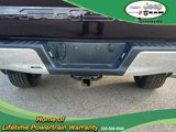 Used 2019 Ford F150 XLT w/ Equipment Group 302A Luxury image 6