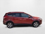 Used 2015 Ford Escape SE w/ Equipment Group 201A image 4