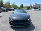 Used 2018 Ford Mustang Premium w/ Equipment Group 201A image 4