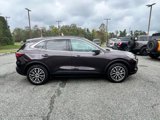 Certified 2023 Ford Escape SE w/ PHEV Premium Package image 3