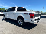 Used 2019 Ford F150 Platinum w/ Equipment Group 701A Luxury image 4