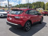 Used 2022 Ford Escape SE w/ SE Sport Appearance Package image 5