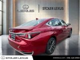 Used 2022 Lexus ES 250 w/ Premium Package image 6