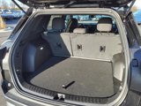 New 2025 GMC Terrain Elevation image 6