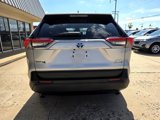 Used 2021 Toyota RAV4 XLE Premium image 5
