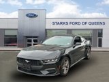 Used 2024 Ford Mustang Coupe image 3