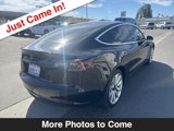 Used 2019 Tesla Model 3 Standard Range Plus image 6