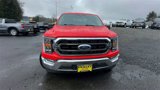 Used 2021 Ford F150 XLT w/ Equipment Group 302A High image 4