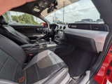 Used 2016 Ford Mustang Premium w/ Enhanced Security Package image 5
