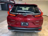 Used 2021 Honda CR-V Special Edition image 6
