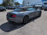 Certified 2023 Ford Mustang Premium image 3