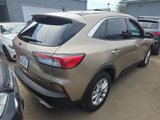 Used 2021 Ford Escape SE w/ Convenience Package image 3