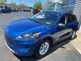 Used 2022 Ford Escape SE w/ Convenience Package image 2
