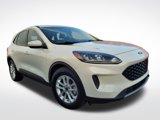 Used 2020 Ford Escape SE image 3