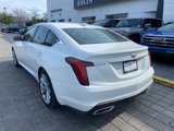 Certified 2023 Cadillac CT5 Premium Luxury w/ Climate Package image 2