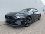 Certified 2022 Ford Mustang Premium image 2