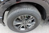 Used 2022 Ford F150 XLT w/ Equipment Group 302A High image 3