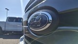 Used 2019 Ford F150 XLT w/ Equipment Group 302A Luxury image 5