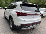 Used 2022 Hyundai Santa Fe SEL w/ Convenience Package image 6