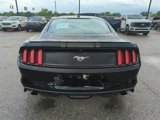 Used 2015 Ford Mustang Premium image 6