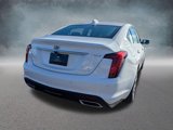 New 2025 Cadillac CT5 Premium Luxury image 5