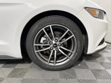 Used 2017 Ford Mustang Premium image 2