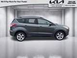 Used 2016 Ford Escape SE w/ SE Leather Comfort Package image 4