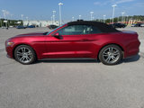 Used 2015 Ford Mustang Premium image 3