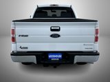 Used 2014 Ford F150 XLT w/ XLT Chrome Package image 6