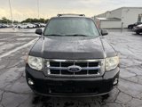 Used 2012 Ford Escape XLT image 2