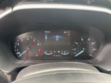 Used 2020 Ford Escape SEL image 6