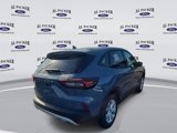 New 2025 Ford Escape Active w/ Tech Pack #1 image 5