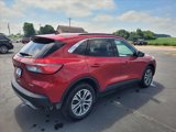 Certified 2022 Ford Escape SEL image 4