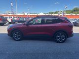 New 2025 Ford Escape ST-Line w/ Tech Pack #1 image 6