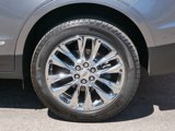 Used 2021 Cadillac XT5 Premium Luxury image 4