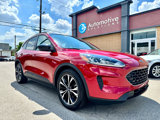 Used 2022 Ford Escape SE w/ SE Sport Appearance Package image 2