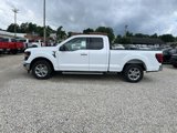 New 2025 Ford F150 XLT w/ Equipment Group 301A Standard image 5