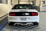 Used 2017 Ford Mustang Premium image 5