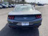 New 2025 Ford Mustang Coupe image 5