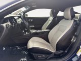 Used 2019 Ford Mustang Premium w/ Ford Safe & Smart Package image 2