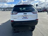 Used 2023 Jeep Cherokee Altitude Lux image 5